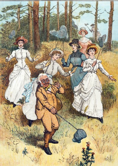 The Professor